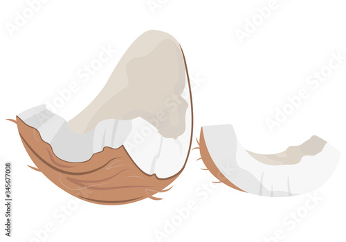 Coconut slices in cartoon style. Tropical fruit isolated on white background.