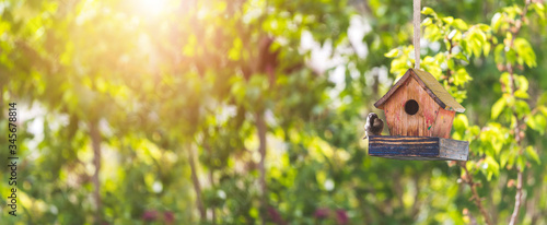 Tableau sur toile Colorful birdhouse in idyllic garden: Wooden birdhouse and copy space