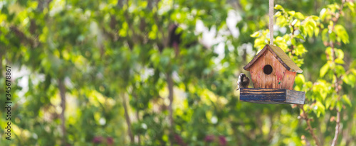 Photographie Colorful birdhouse in idyllic garden: Wooden birdhouse and copy space