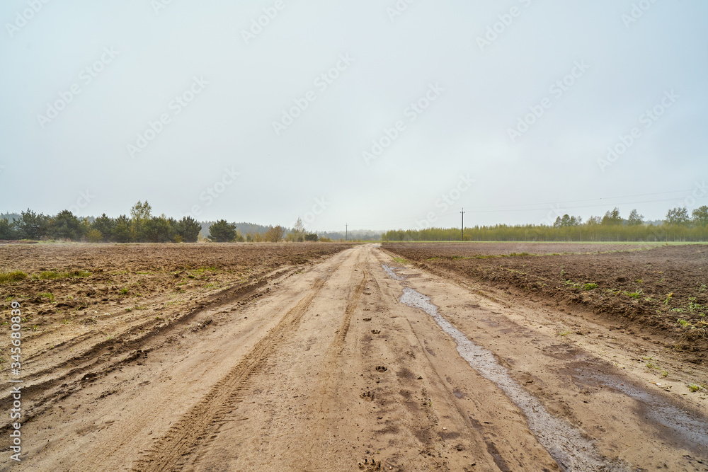 sandy country road between fields in spring sandy country road between fields in spring