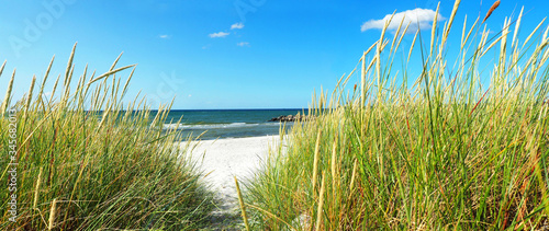 Fototapeta Naklejka Na Ścianę i Meble -  Ostseestrand mit Seegras und Meer im Sommer - Ostsee Panorama