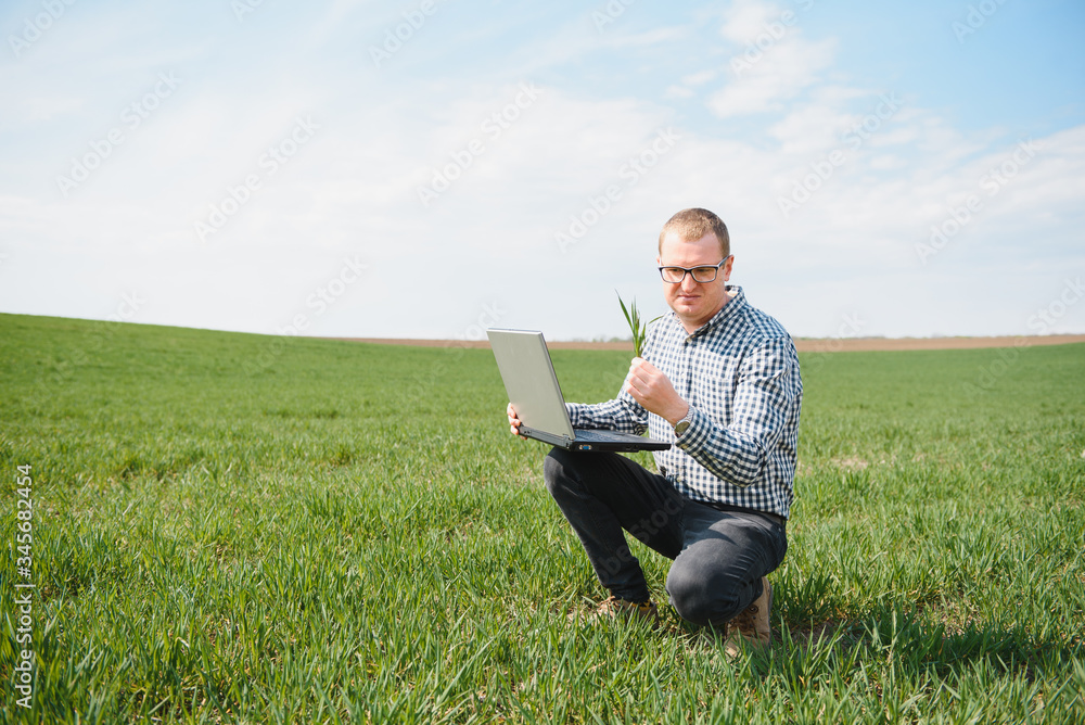 farmer standing in a wheat field and looking at laptop, are examining corp. Young handsome agronomist. Agribusiness concept. agricultural engineer standing in a wheat field farmer standing in a wheat field and looking at laptop, are examining corp. Young handsome agronomist. Agribusiness concept. agricultural engineer standing in a wheat field
