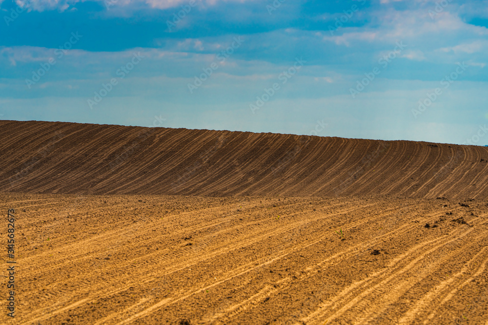 Fototapeta premium Plowed field and blue sky