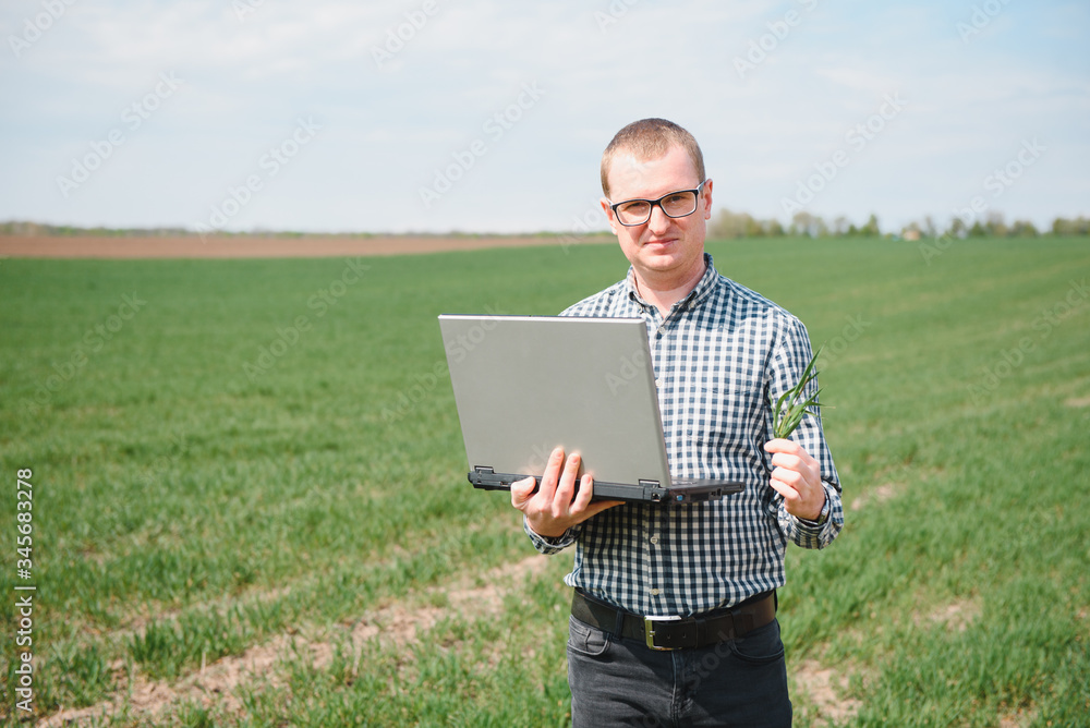 farmer standing in a wheat field and looking at laptop, are examining corp. Young handsome agronomist. Agribusiness concept. agricultural engineer standing in a wheat field farmer standing in a wheat field and looking at laptop, are examining corp. Young handsome agronomist. Agribusiness concept. agricultural engineer standing in a wheat field