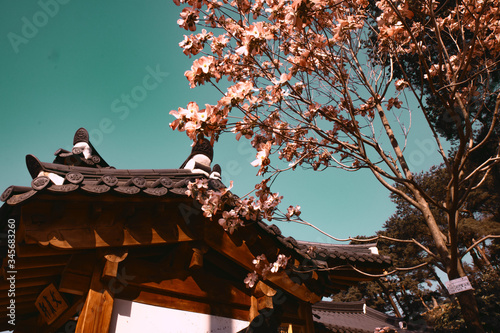Korean Traditional house with flower