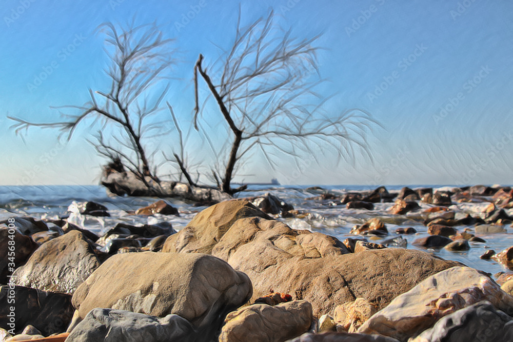 View of the ocean in Civitavecchia - Lazio - Italy with stones and an old tree trunk in the foreground View of the ocean in Civitavecchia - Lazio - Italy with stones and an old tree trunk in the foreground