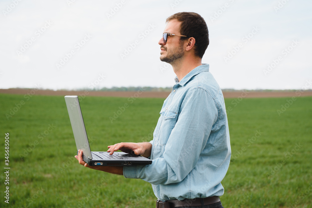 Man farmer working on a laptop in the field. Agronomist examines the green sprout winter wheat. Man farmer working on a laptop in the field. Agronomist examines the green sprout winter wheat.