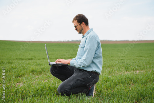 farmer standing in young wheat field examining crop and looking at laptop.