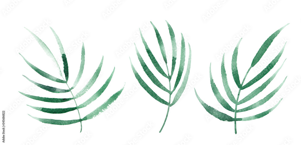 Three green palm leaves painted in watercolor