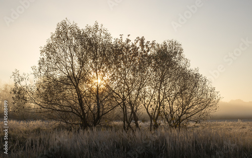 Bright frosty morning © anderus