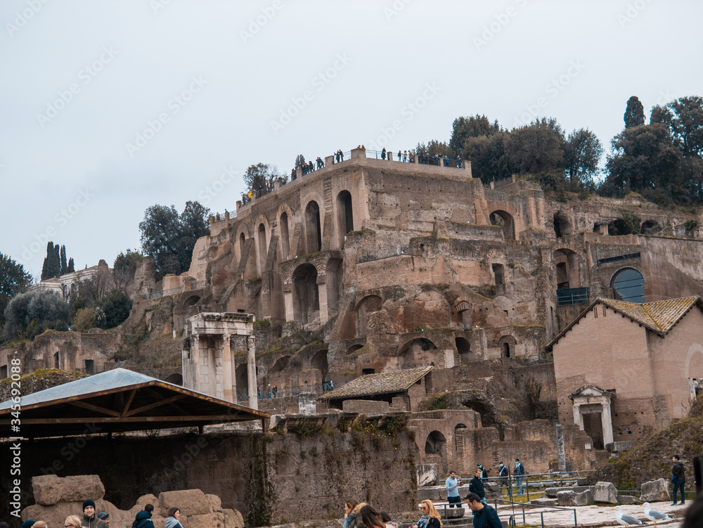 colosseum in rome
