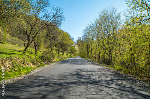 asphalt road leading into the woods. outdoor recreation. © robertuzhbt89