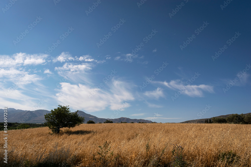Beautiful landscape with blue sky and beautiful clouds Beautiful landscape with blue sky and beautiful clouds