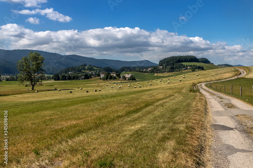 Les foins sur le plateau du Vercors , les  Quatre Montagnes , Méaudre , Autrans , Alpes , France photo