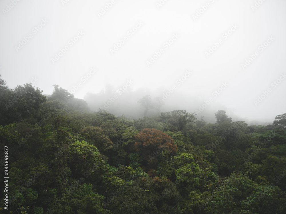 Bosque nuboso de Costa Rica