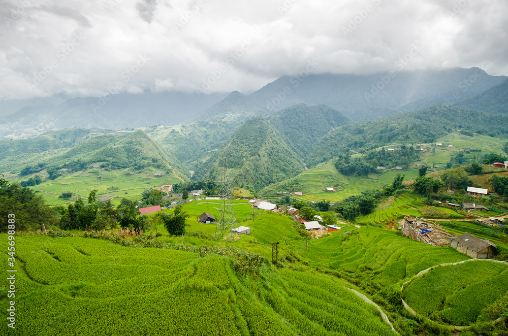 Rice terrace and moutain view at Sapa