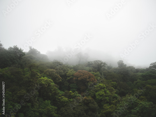 Bosque nuboso de Costa Rica