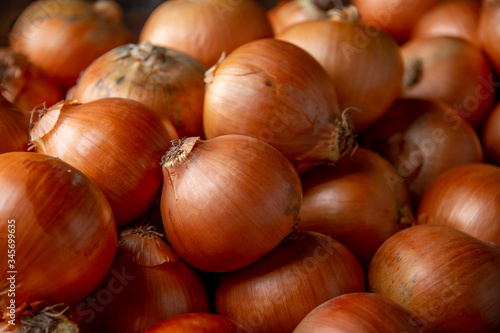 Group of ripe onions.
Closeup view.