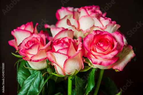 Lovely bouquet with big flowers of roses of bright pink and white color are staying on the table. Green leaves and thorns. Still life. Brown  background