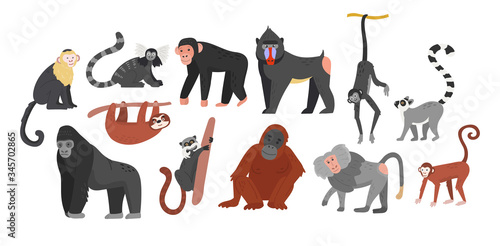 Big collection of funny cartoon different monkeys. Huge set. Vector illustration for web and design
