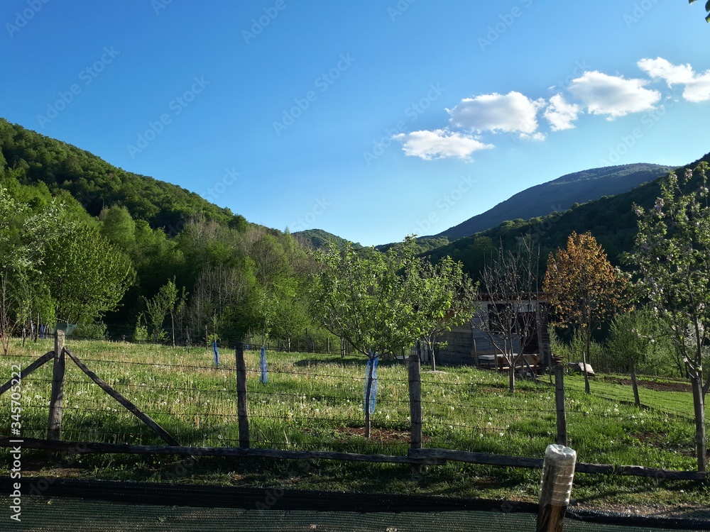 Rural landscape with wooden fence and mountains on horizon