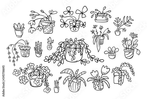 A set of cartoon doodle houseplants in pots