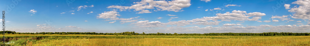 Panorama of a summer meadow against a blue sky with clouds