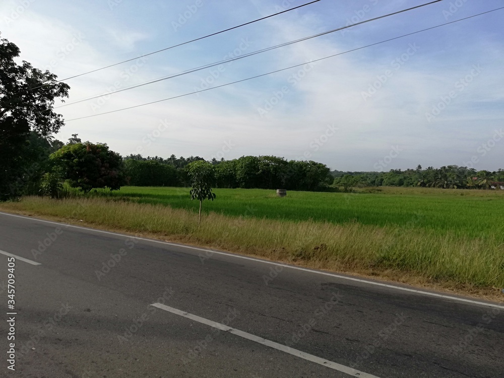Fototapeta premium road in the countryside