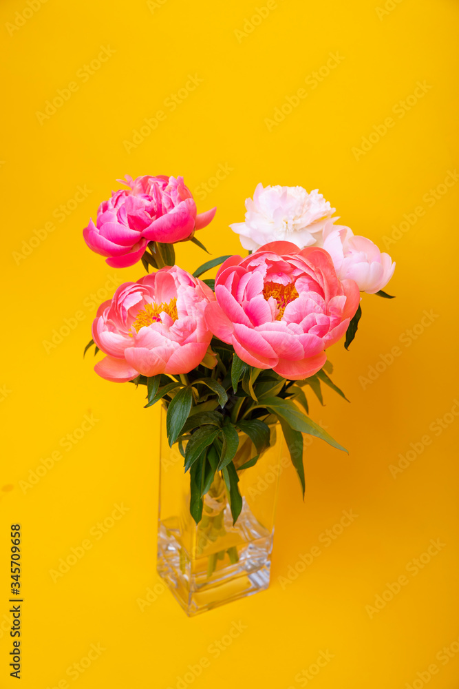 Fototapeta premium flowers