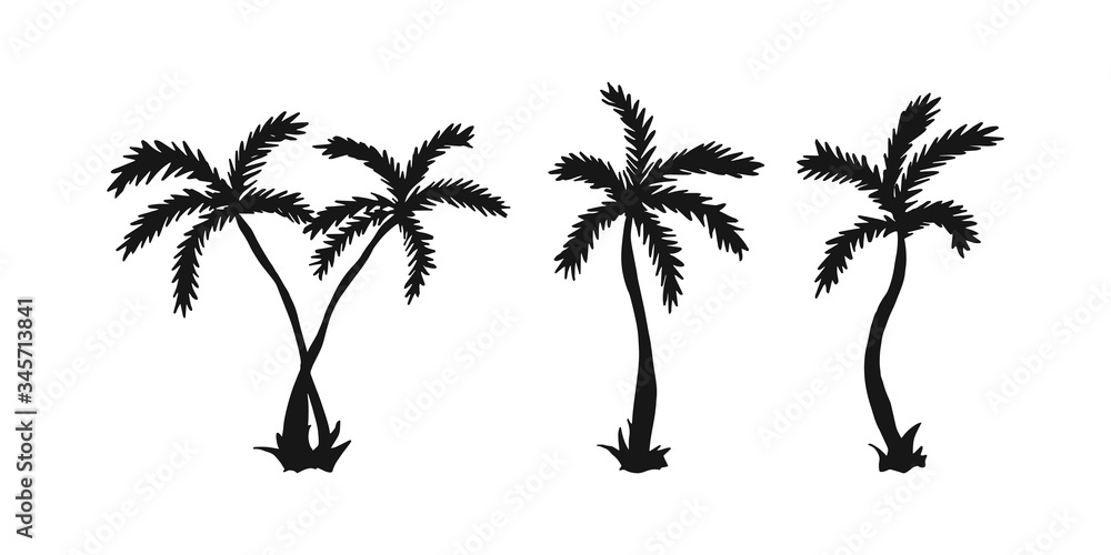 Fototapeta premium Set of silhouette palm tree. 