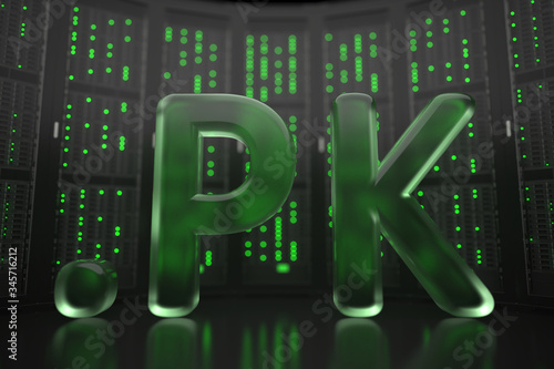 Pakistani domain .pk on server room background. Internet in Pakistan related conceptual 3D rendering