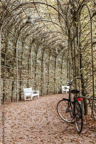 Parked bicycle on the road in the park