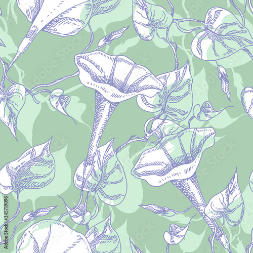Bindweed Flowers Seamless Pattern. Hand Drawn Floral Background.