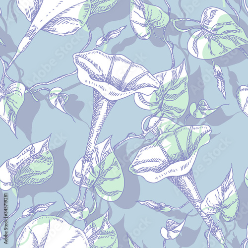 Bindweed Flowers Seamless Pattern. Hand Drawn Floral Background.