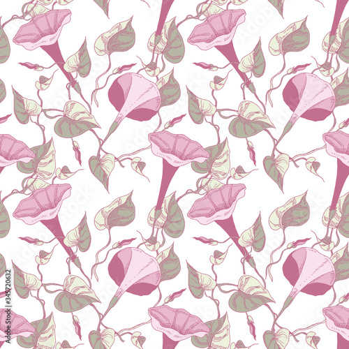 Bindweed Flowers Seamless Pattern. Hand Drawn Floral Background.