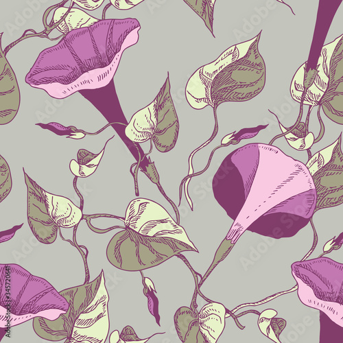 Bindweed Flowers Seamless Pattern. Hand Drawn Floral Background.