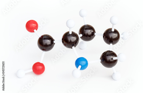 Картината върху платно Plastic ball-and-stick model of a Proline or L-Proline (Pro) molecule on a white background