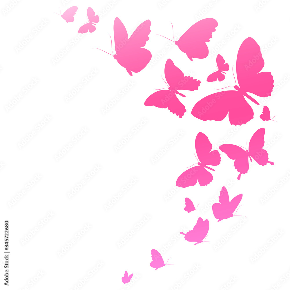 butterfly579