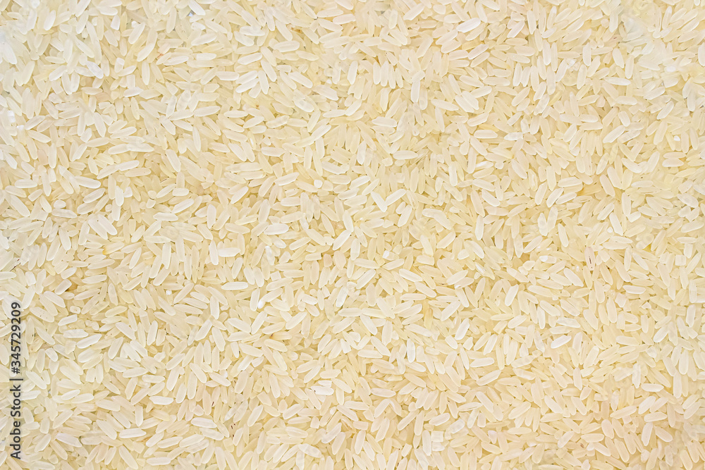 Layer of rice grits. Food background of long-grain rice. Layer of rice grits. Food background of long-grain rice.