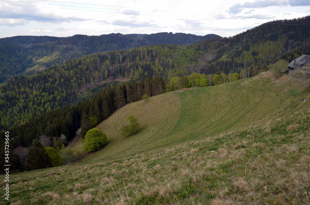Fototapeta premium Wolkenwetter im Schwarzwald