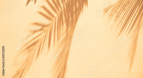 Abstract background of shadows palm leaves on a white wall. Top view of tropical leaf shadow on sand color background.