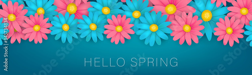 Hello Spring banner or newsletter header. Pink and blue realistic daisy flowers. Floral promo design. Vector illustration.