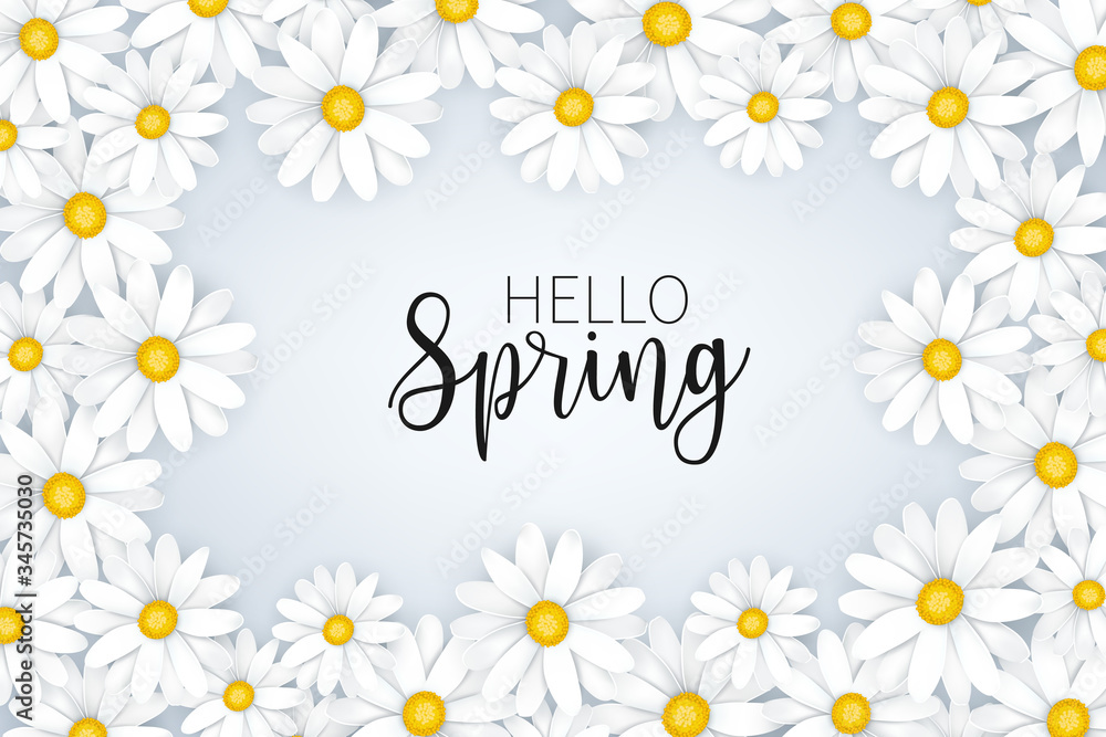Hello Spring banner  background or wallpaper. Tender white daisy flower design in a frame form. Vector illustration.