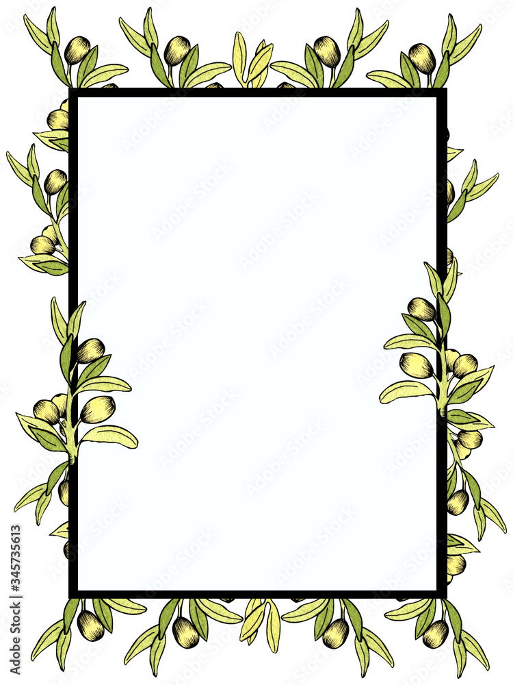 hand drawn watercolor rectangular frame of green olive branches with berries and leaves on a white background.