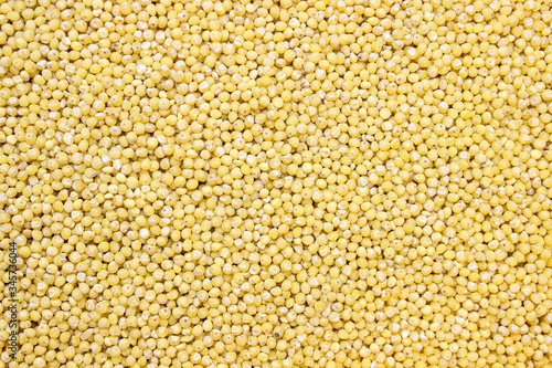 Layer of dry yellow millet. Food background of cereals.