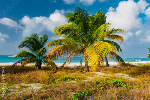 tropical panorama island of Anguilla Caribbean sea © DD25