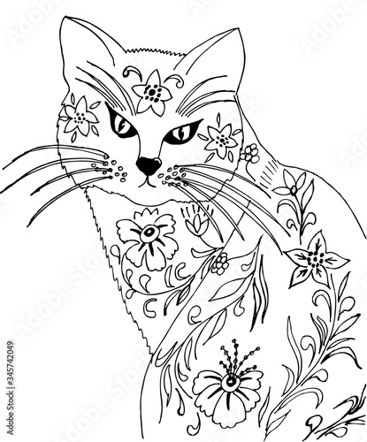 Drawing of a domestic cat decorated with flowers. Drawing for coloring antistress