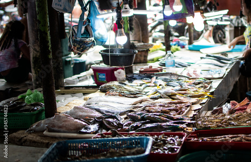 Fish Market Variety of Sea Food