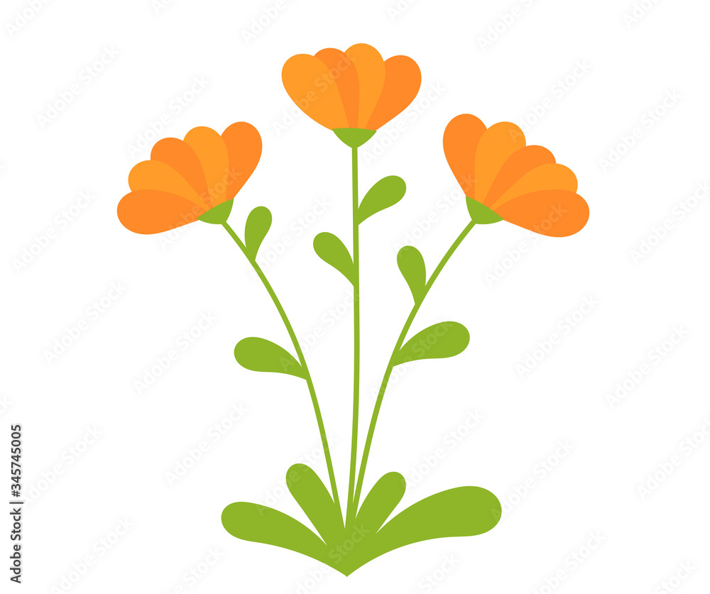 Orange Calendula flowers blooming. - obrazy, fototapety, plakaty 