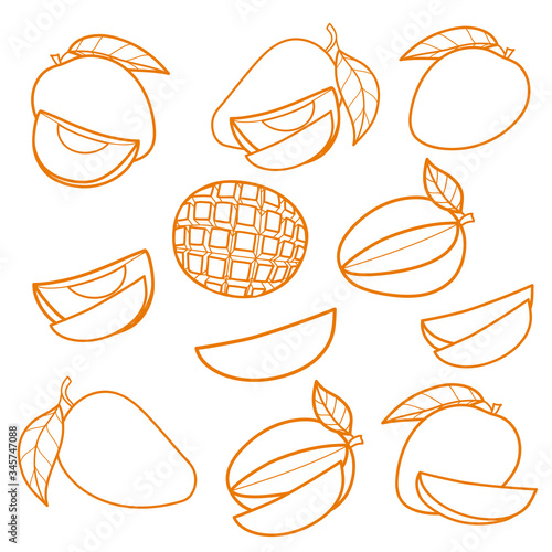 Set of linear drawing mango isolated on white background. Sketch for coloring booking page. Vector illustration